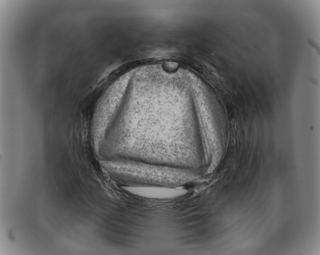 X0000097471158200803141907