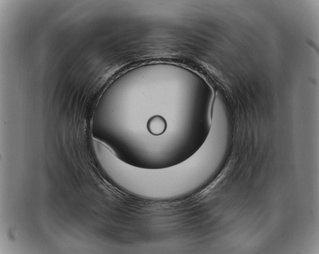 X0000097471161200803141907