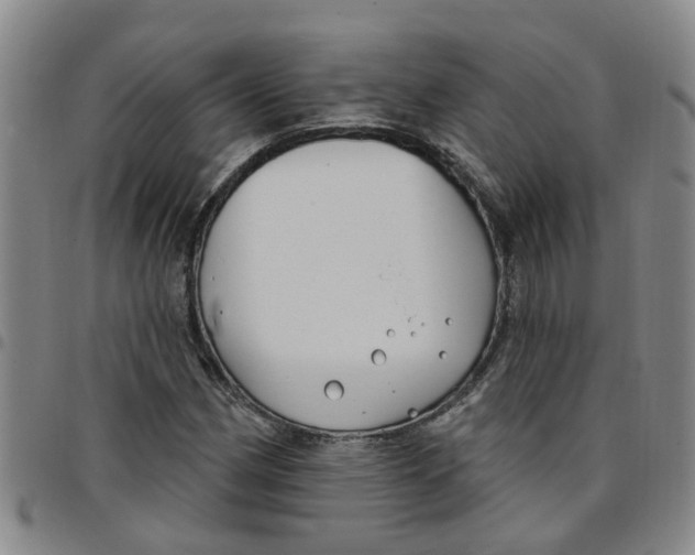 X0000097471162200803141907