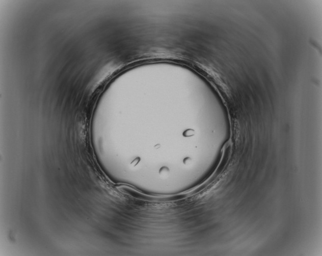 X0000097471163200803141907