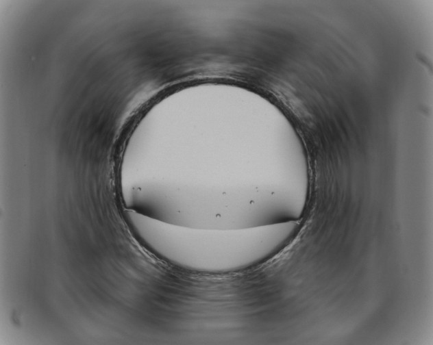 X0000097471164200803141907