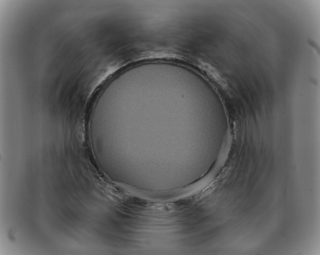 X0000097471165200803141907