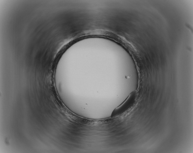 X0000097471166200803141907