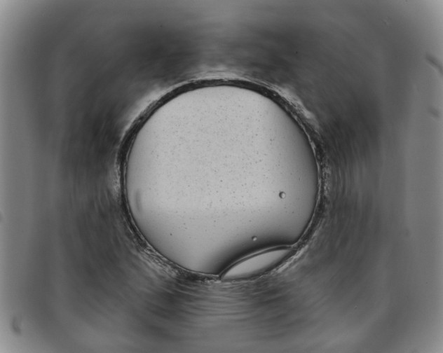 X0000097471167200803141907