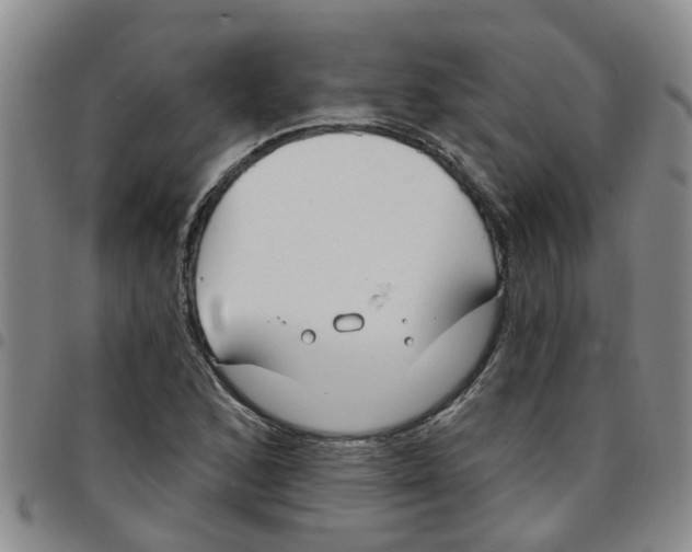 X0000097471168200803141907