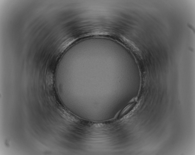 X0000097471169200803141907