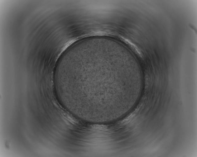 X0000097471170200803141907