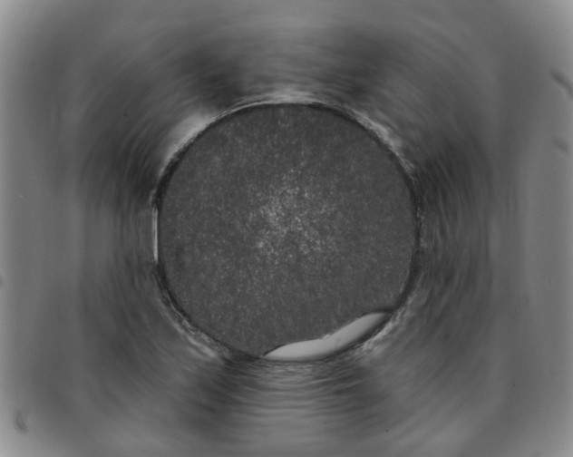 X0000097471171200803141907