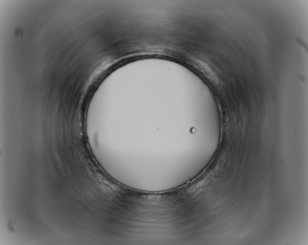 X0000097471172200803141907