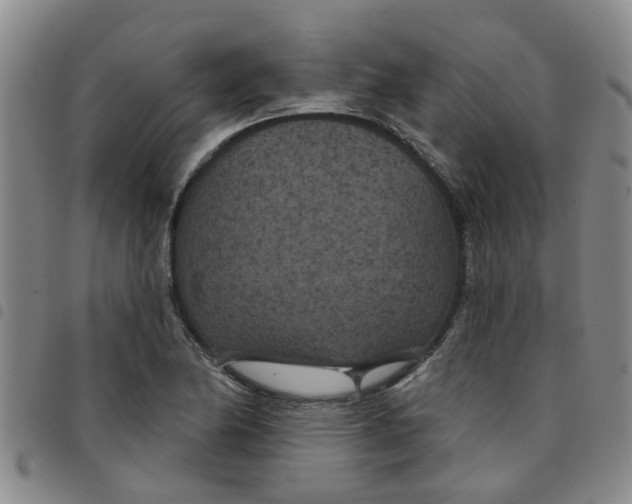 X0000097471174200803141907