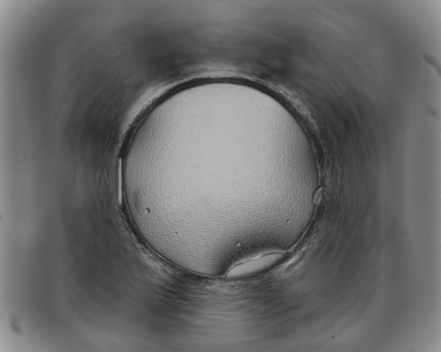 X0000097471175200803141907