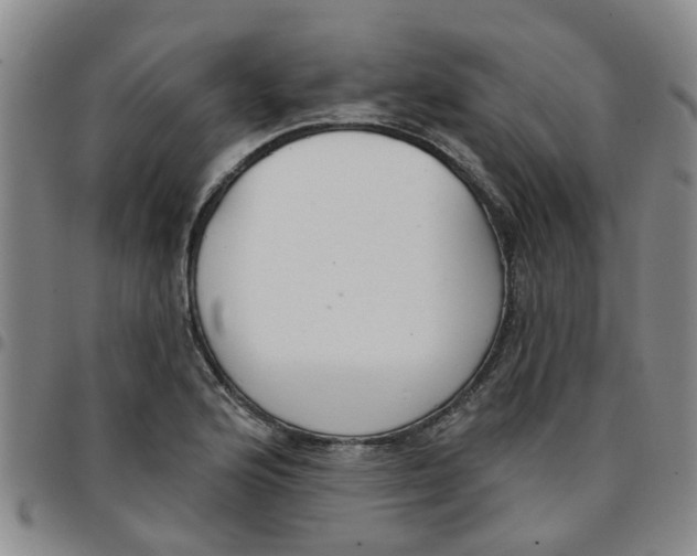 X0000097471176200803141907