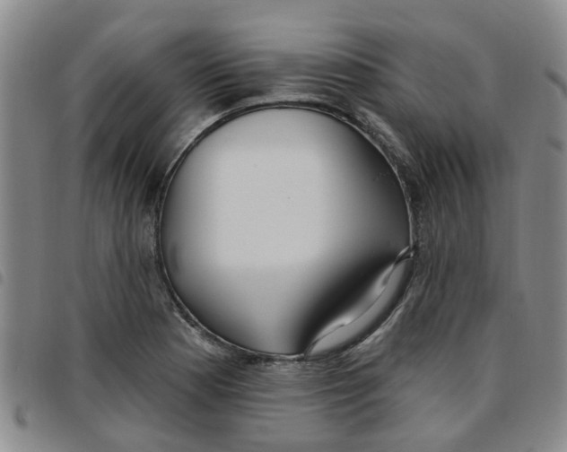 X0000097471177200803141907