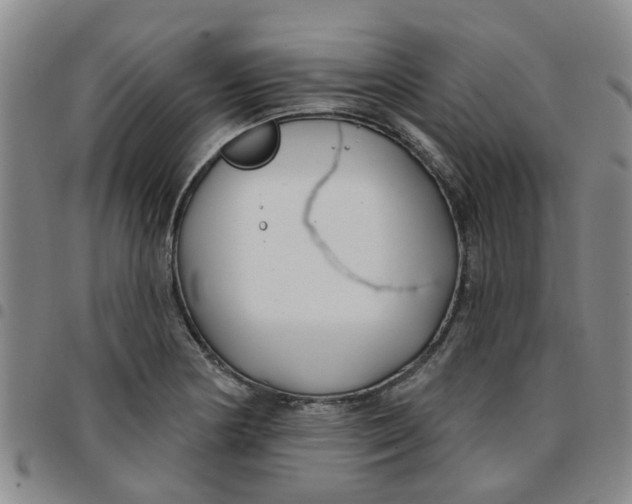 X0000097471178200803141907