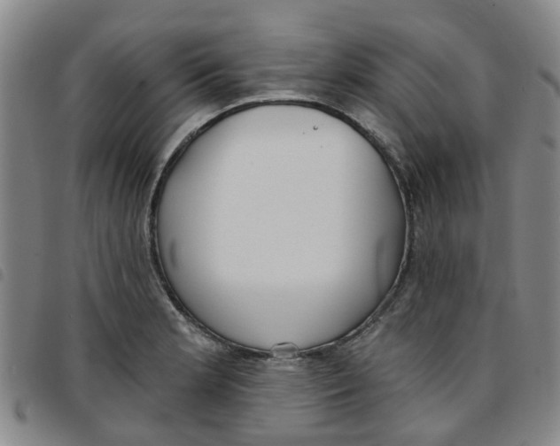 X0000097471181200803141906