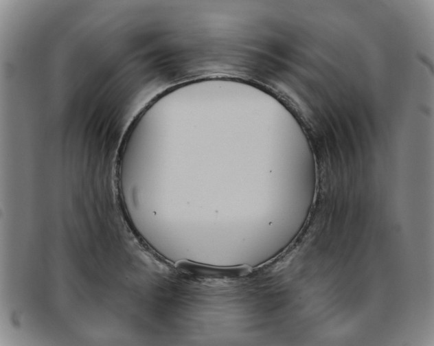 X0000097471182200803141906
