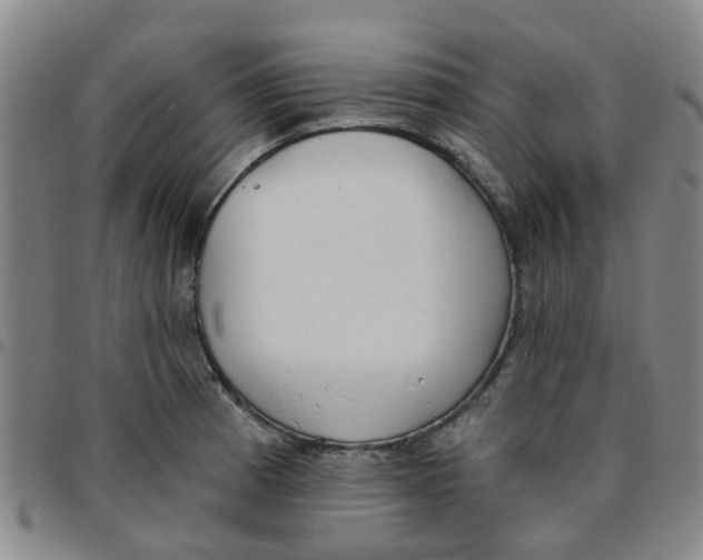 X0000097471185200803141906