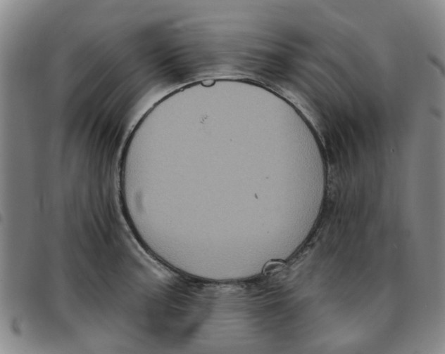 X0000097471187200803141906