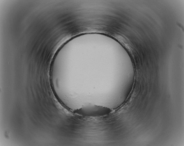 X0000097471189200803141906