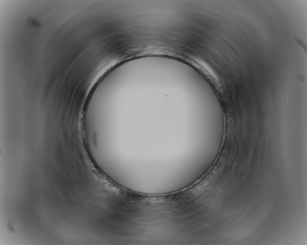 X0000097471190200803141906