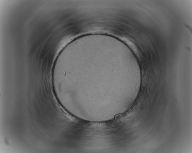 X0000097471191200803141906