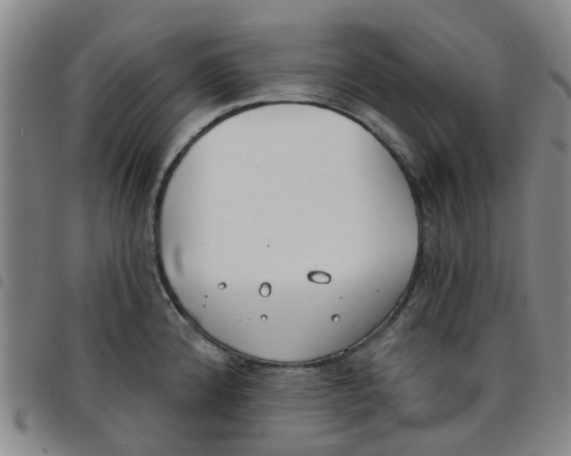 X0000097471192200803141906