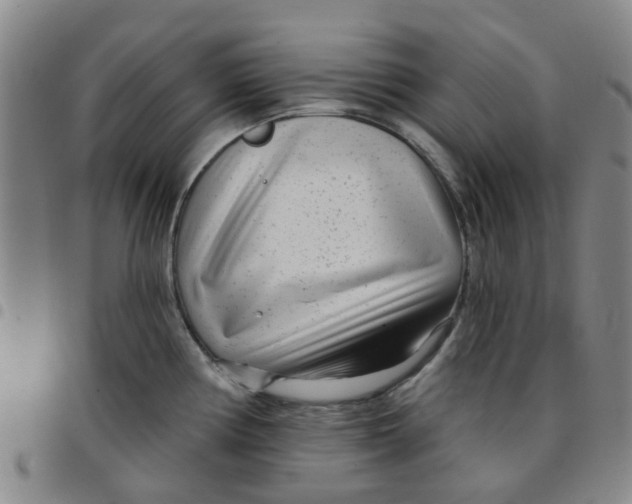 X0000097471194200803141906