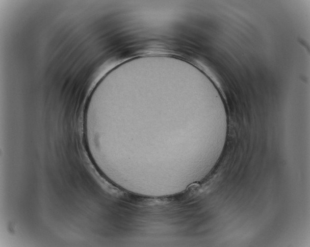 X0000097471195200803141906