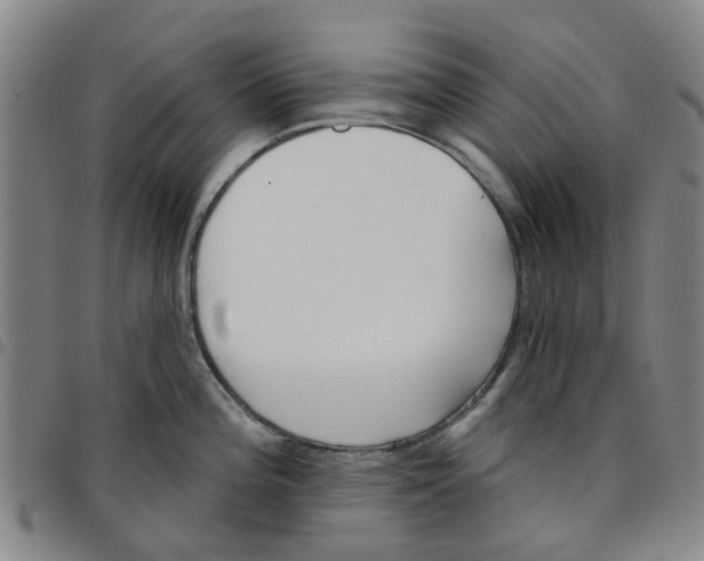 X0000097471196200803141906