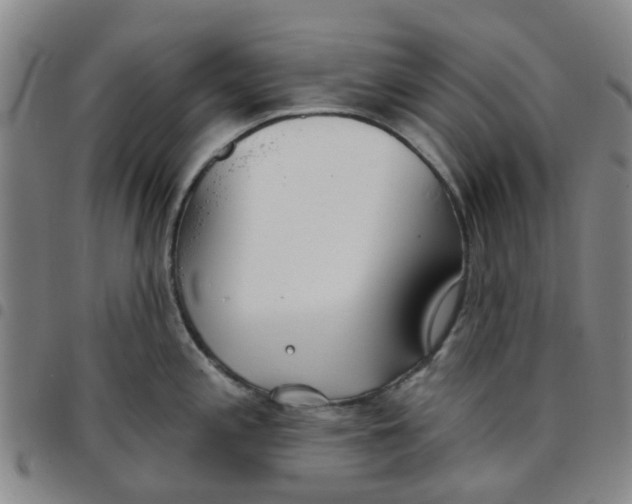 X0000097471197200803141906