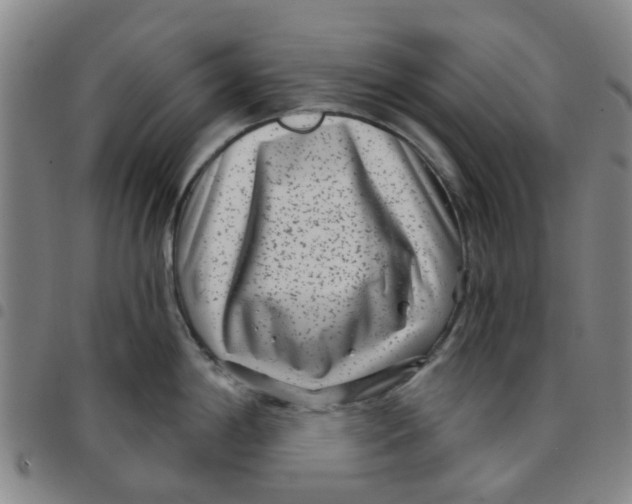 X0000097471198200803141906