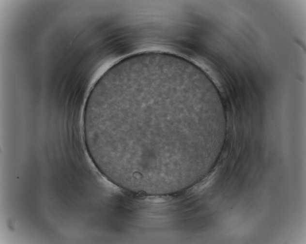 X0000097471199200803141906