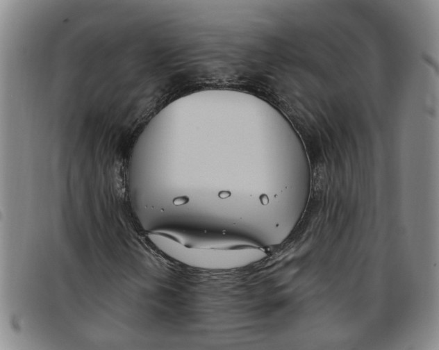 X0000097471202200803141906