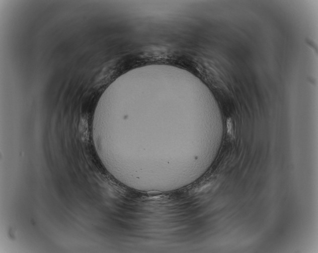 X0000097471203200803141906