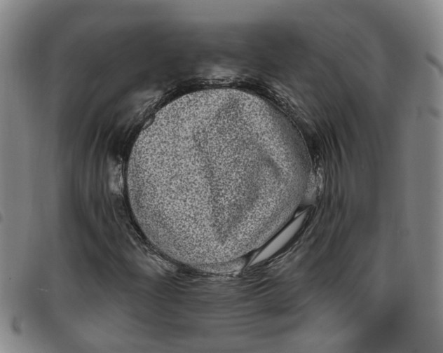 X0000097471204200803141906