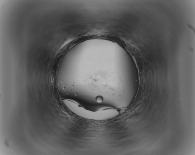 X0000097471206200803141906