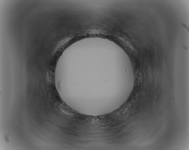X0000097471207200803141906