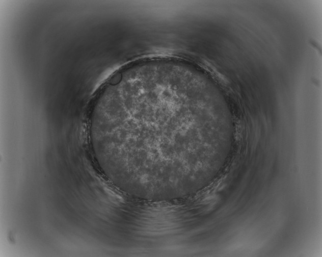 X0000097471208200803141906