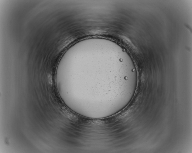 X0000097471209200803141906
