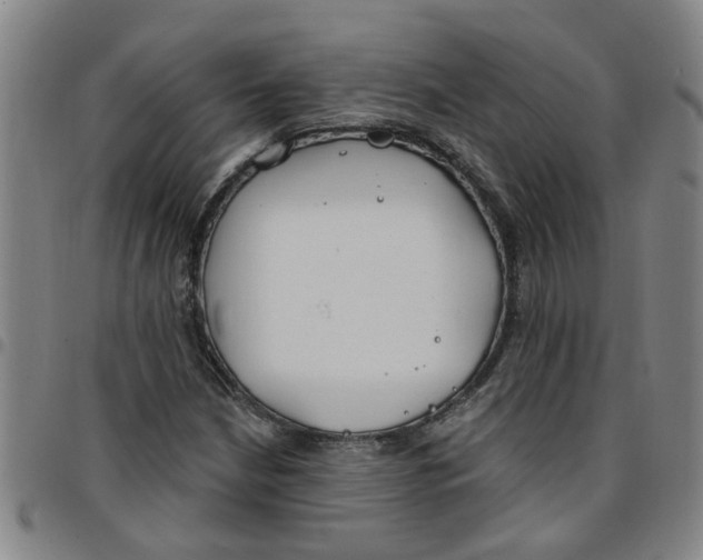 X0000097471210200803141906