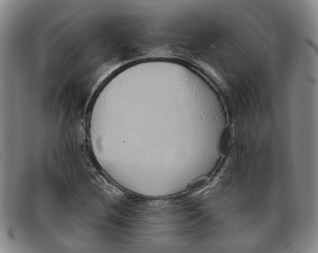 X0000097471212200803141906
