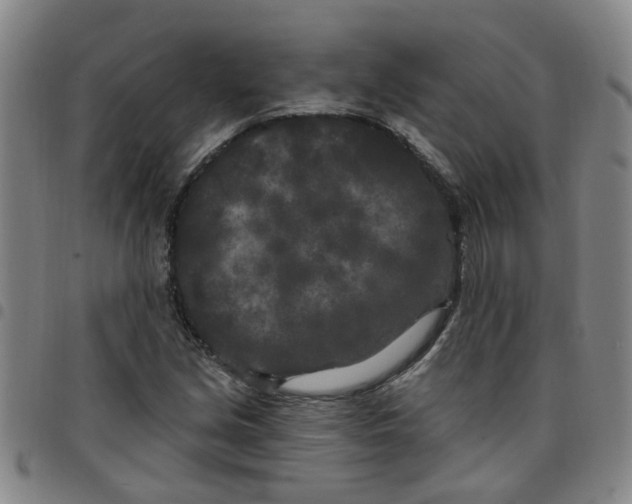 X0000097471213200803141906