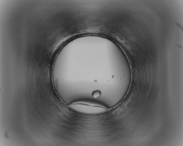 X0000097471214200803141906