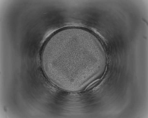 X0000097471215200803141906
