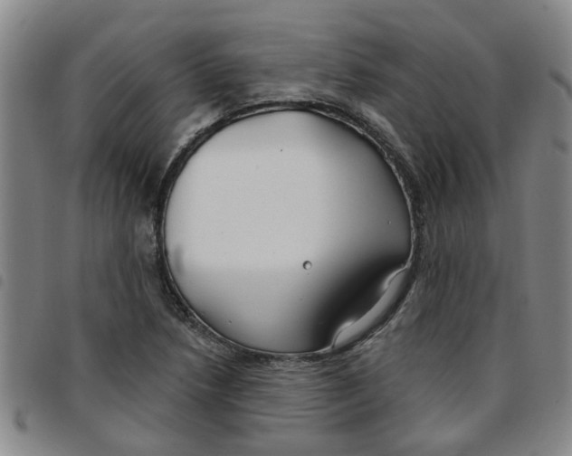 X0000097471218200803141906