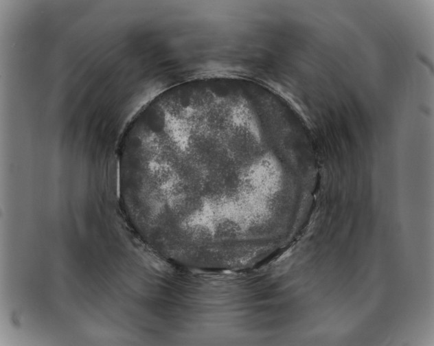 X0000097471219200803141906