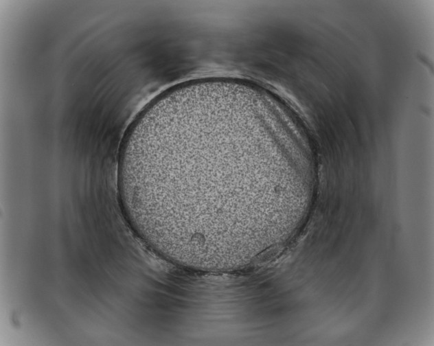 X0000097471220200803141906