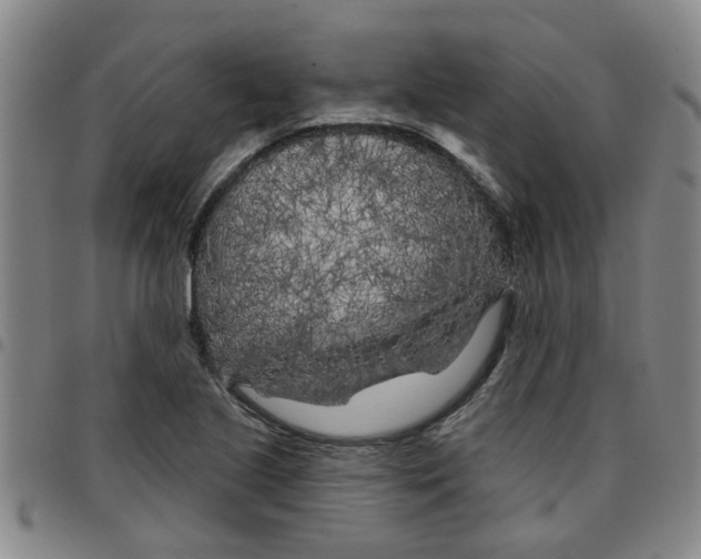 X0000097471221200803141906