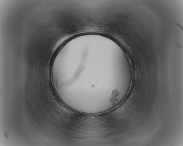 X0000097471222200803141906