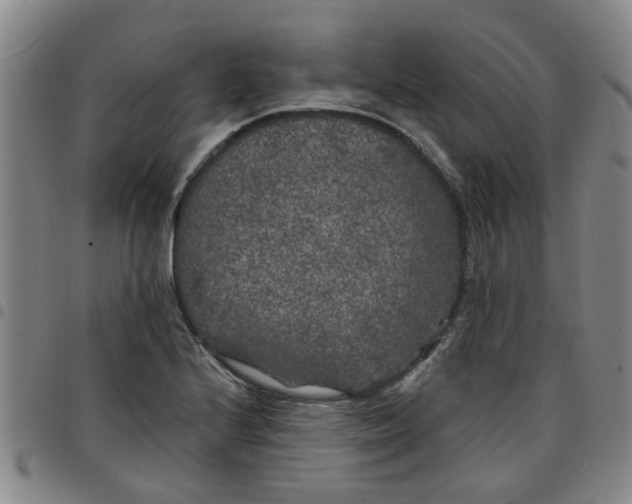 X0000097471224200803141906